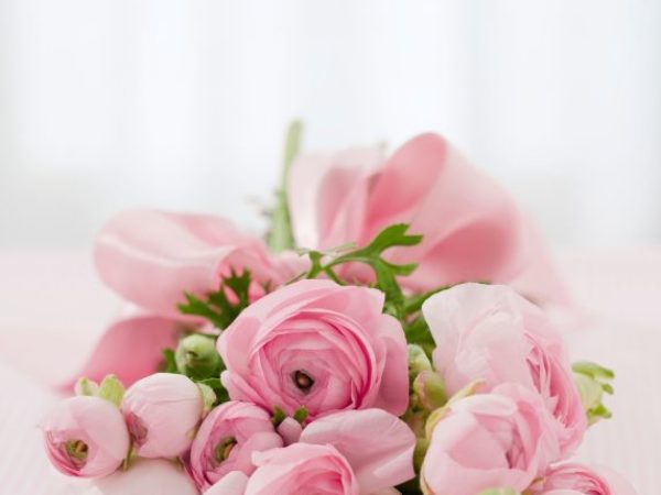 flowes 1 30 rocznica święceń kapłańskich ks. Proboszcza