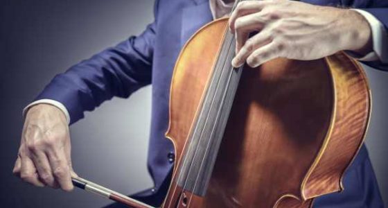 Cello player or cellist performing Koncerty w Pławniowicach